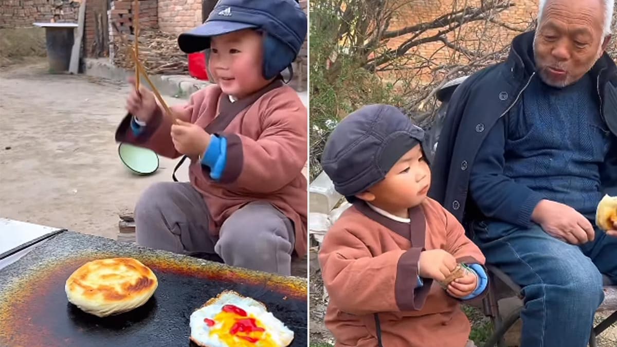 Watch: Internet Is Impressed By Cute Kid Making Sandwich For Elderly Man