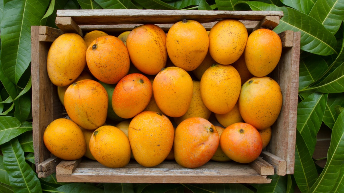 6 Signs You're Officially Obsessed With Mangoes