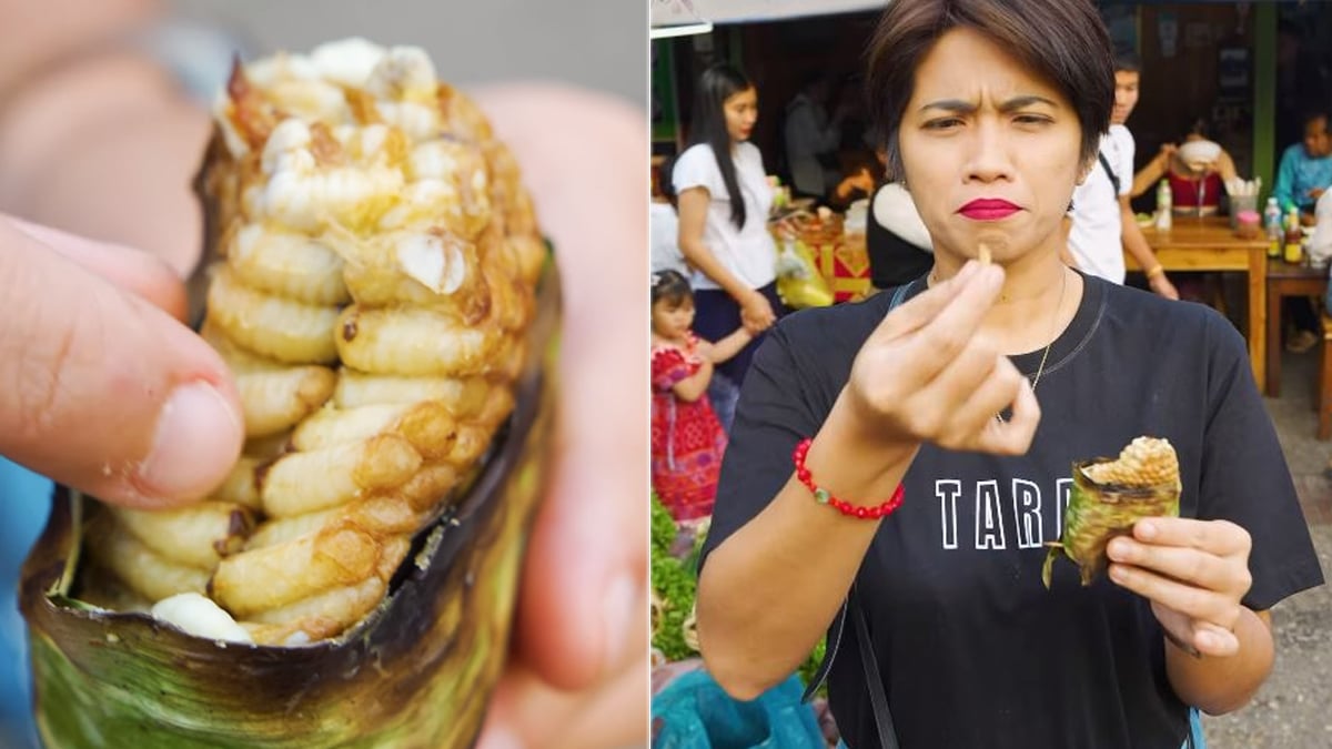 Internet Is Cringed After Watching This Food Blogger Eating Grilled Honey Bee Larvae