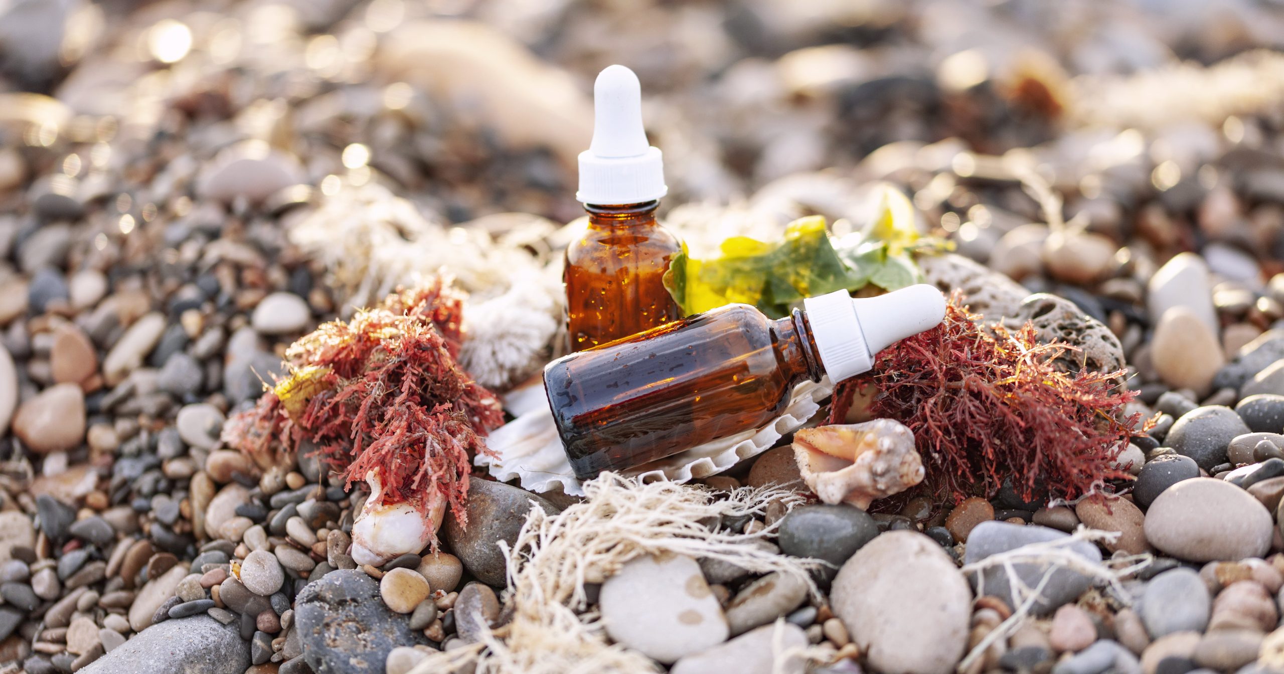 Is Sea Moss Actually Good For You?