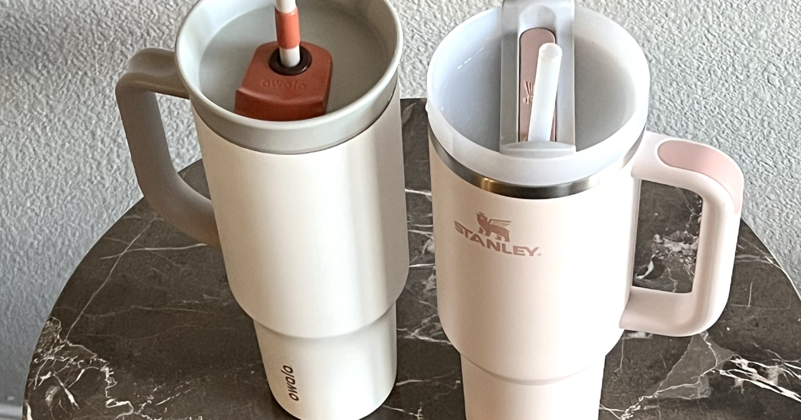 We Tested the Stanley and Owala Tumblers to See Which One Keeps Water Colder