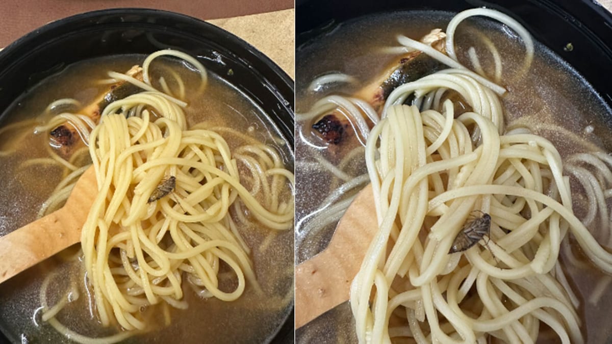 Zomato Customer Finds Cockroach In Her Japanese Miso Ramen-Chicken; Company Responds