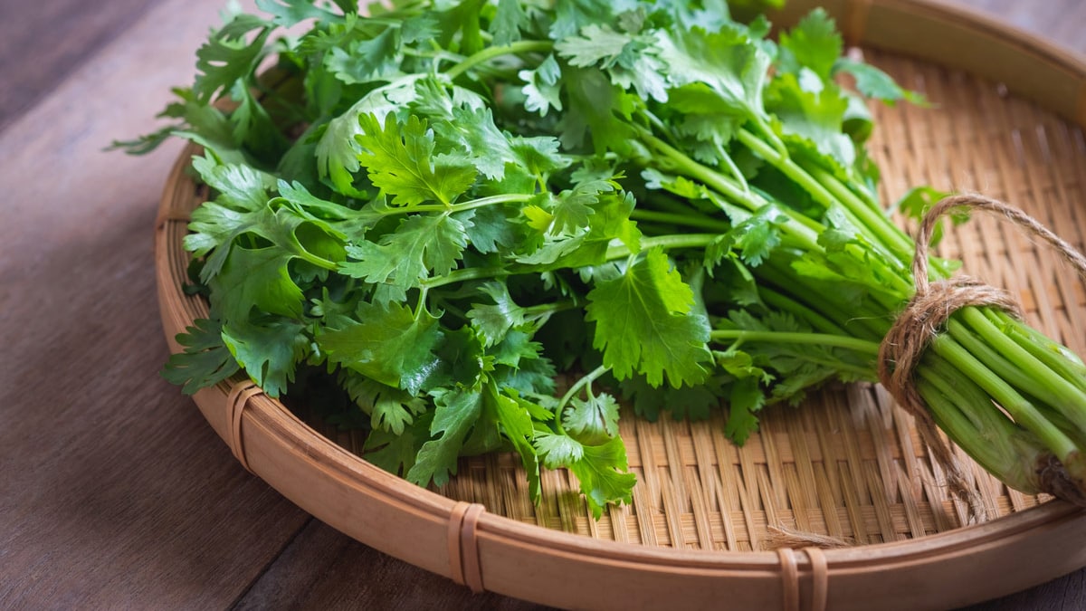 5 Unique, Easy Ways To Include Coriander In Your Diet Beyond Chutney