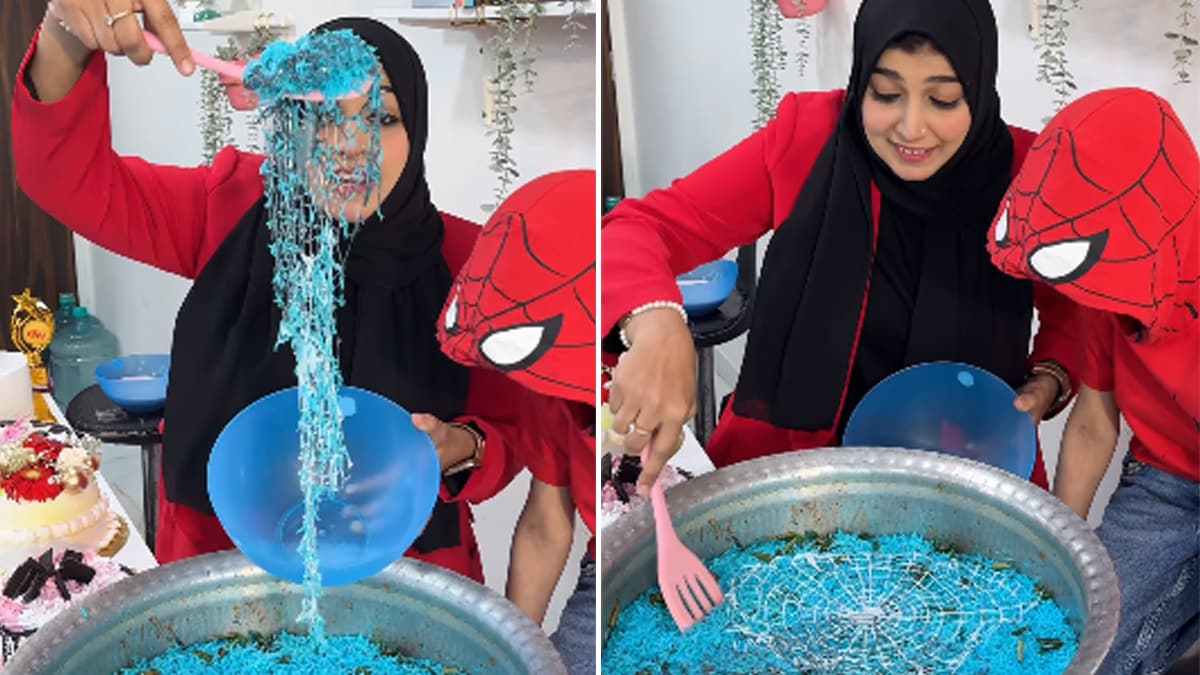 Viral Video Shows Blue-Coloured 'Spiderman Biryani' With Edible Webs