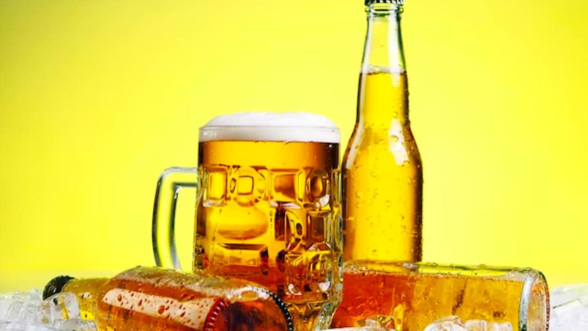 5 Types Of Beer To Elevate Every Occasion: Find Your Perfect Match