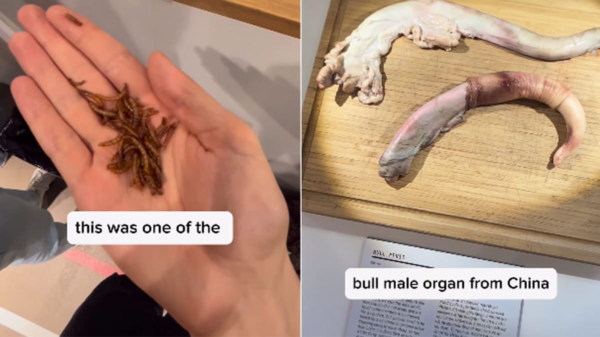 Watch: Can You Eat These Repulsive Foods From The 'Disgusting Food Museum' In Sweden?