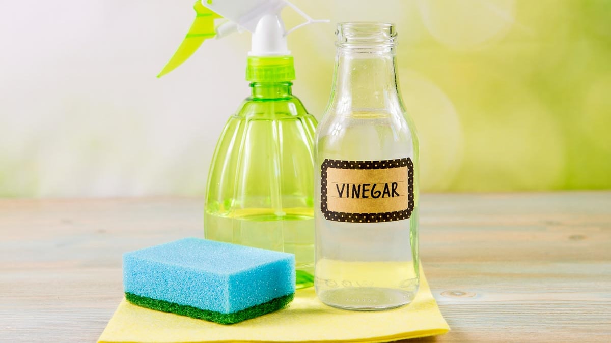 5 Essential Kitchen Spots That Should Be Cleaned With Vinegar