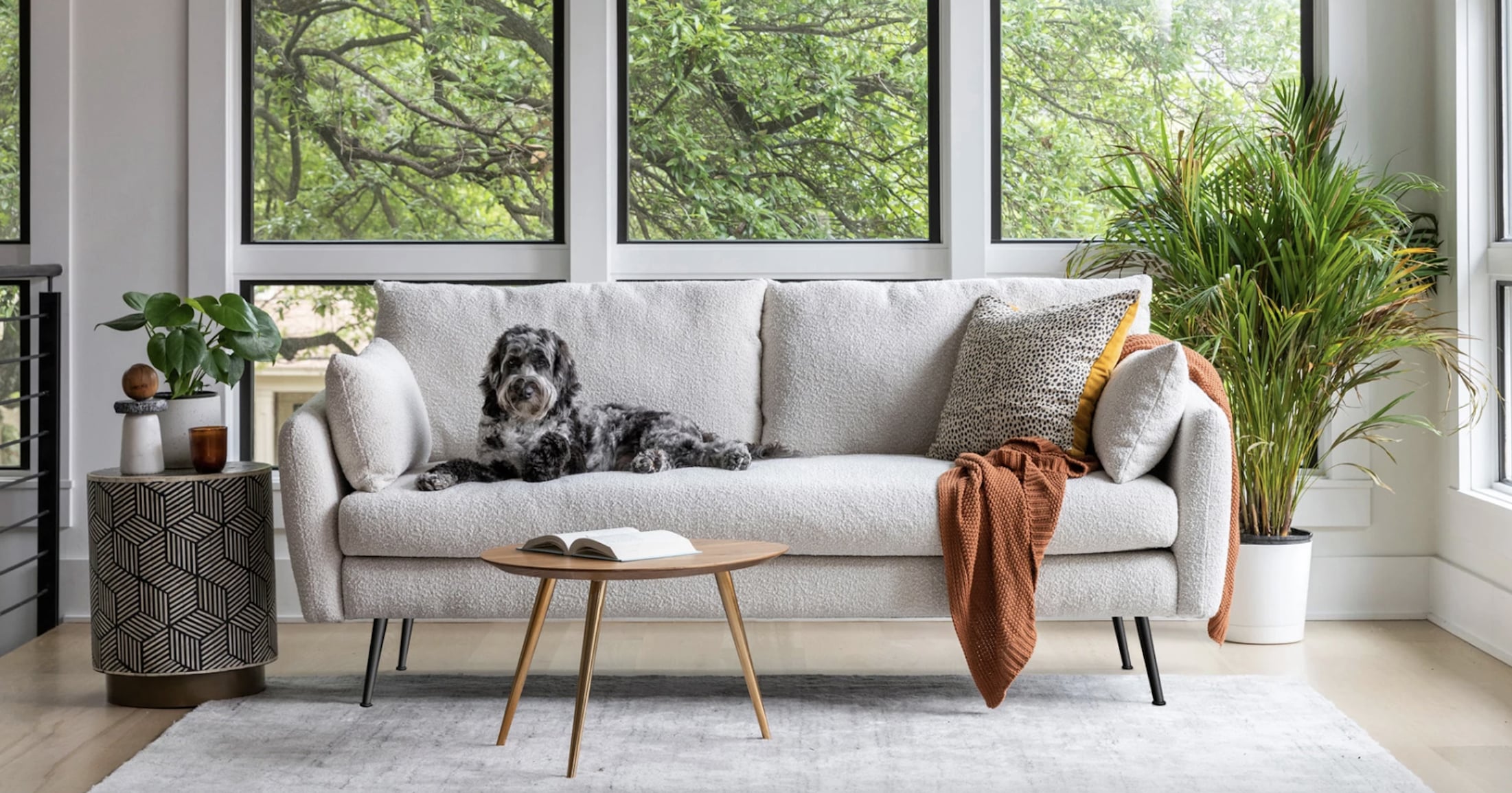 Albany Park's Internet-Famous Sofas Are on Sale For Up to 35% Off - Shop Our Favorites