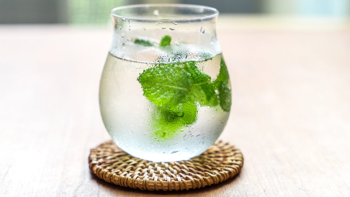 From Weight Loss To Skin Health: 5 Incredible Health Benefits Of Drinking Mint Water