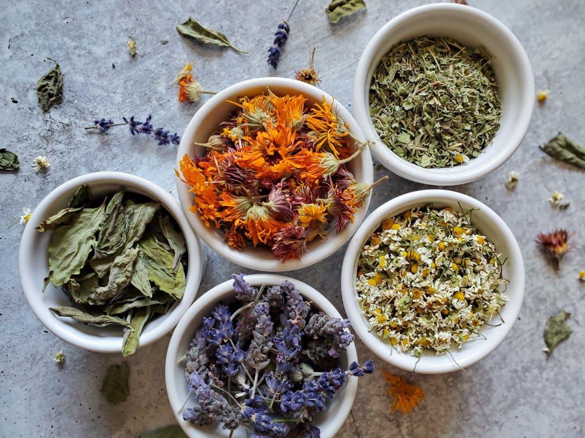 White ceramic bowls are filled with a variety of dried herbs including basil, lavender, calendula, and chamomile.