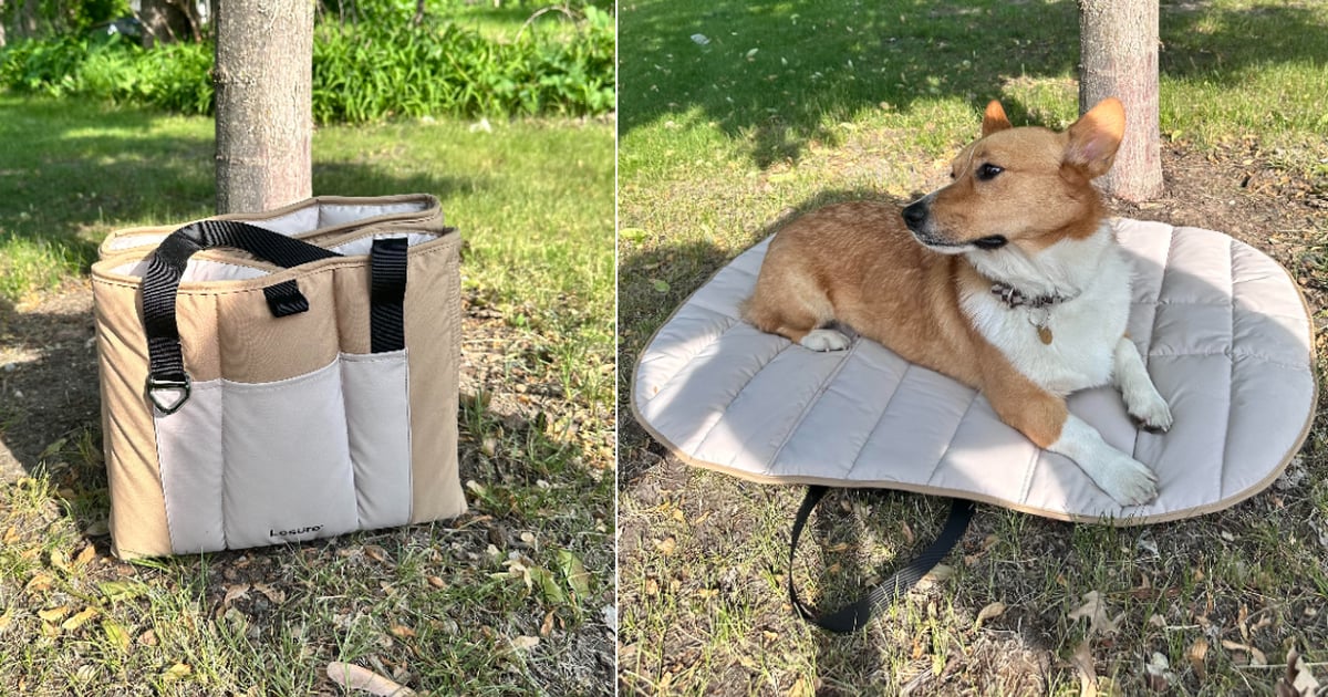 I Found the Chicest Travel Dog Bed For $40 - and It's on Sale For Amazon Pet Day