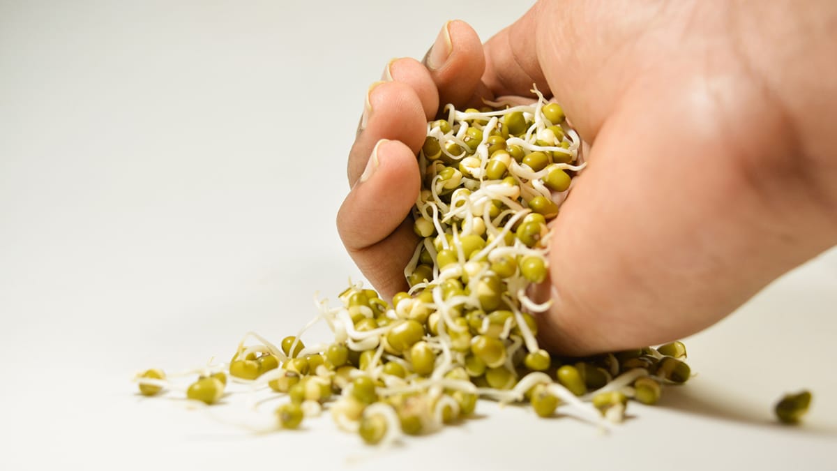 Are Moong Dal Sprouts Really High In Protein? Nutritionist Busts Popular Myth