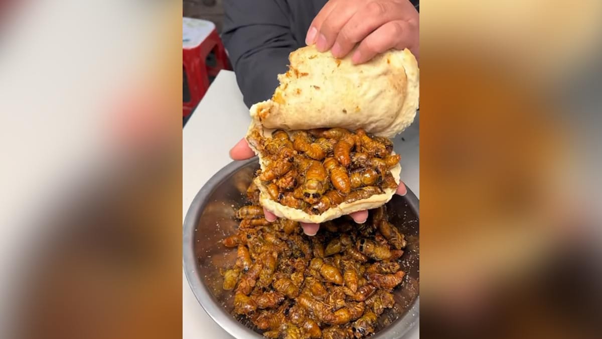 “Chinese Burger” Filled With Bugs Is Making The Internet “Sick”