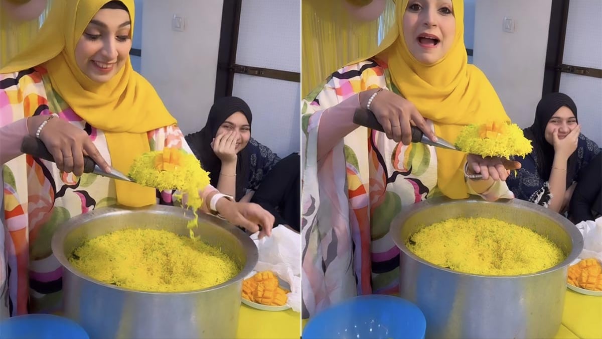 "Give Justice For Biryani And Mango": Internet Is Not Happy With This Food Experiment